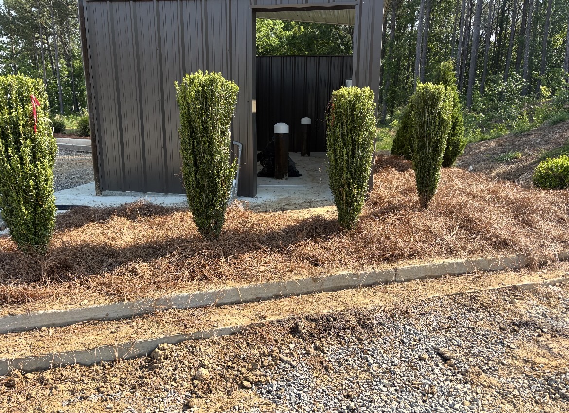 Boxwood Entry Plantings