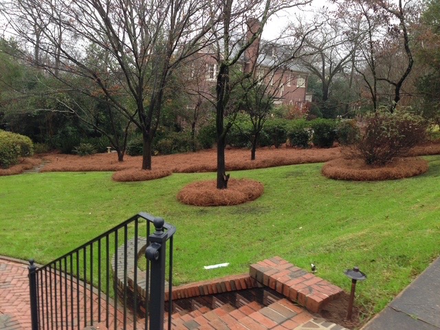 Garden Design